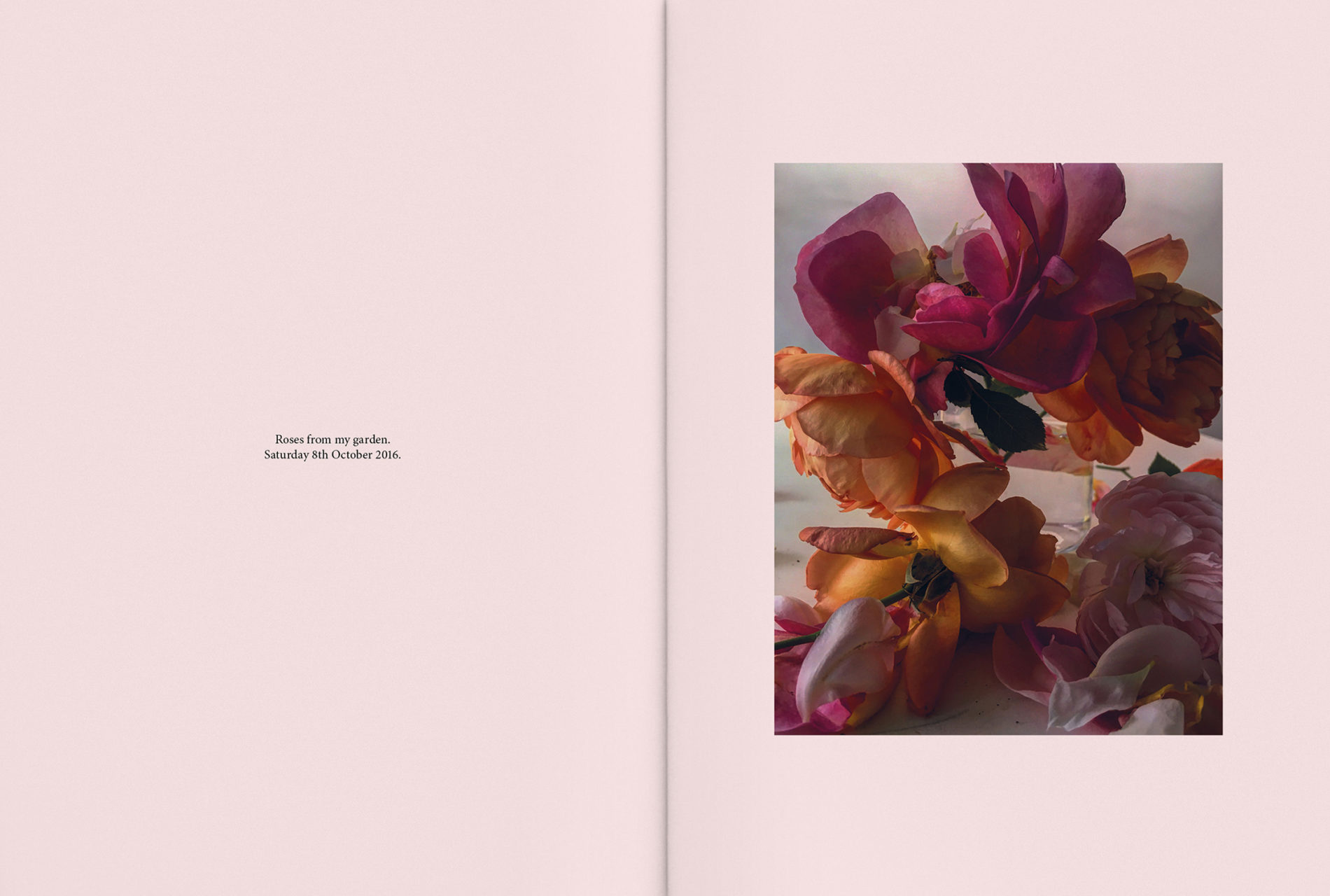 Carol Montpart Studio - The Plant Issue 10